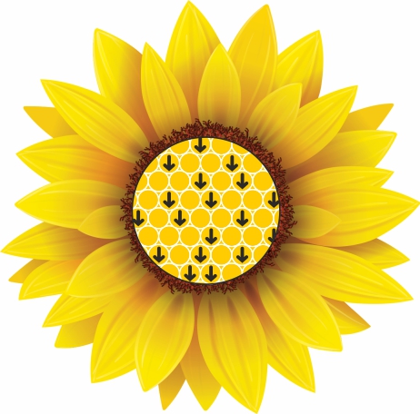 Matratzer Sunflower